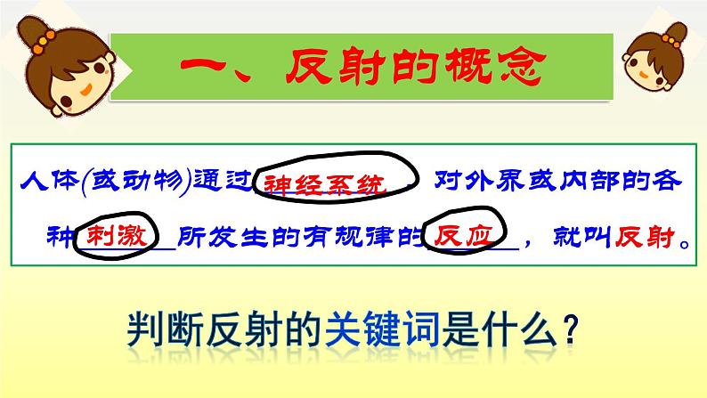 初中生物人教版七年级下册 第三节神经调节的基本方式 课件第5页