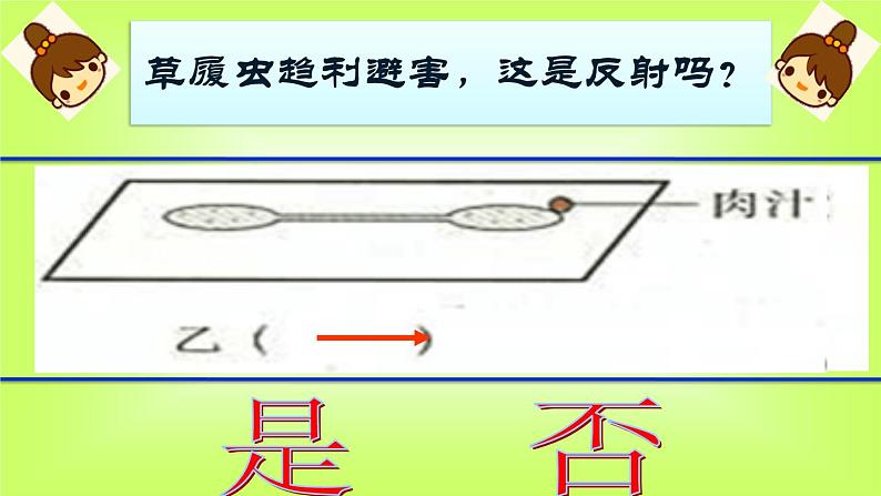 初中生物人教版七年级下册 第三节神经调节的基本方式 课件第7页