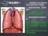 初中生物人教版七年级下册 第二节发生在肺内的气体交换 2 课件