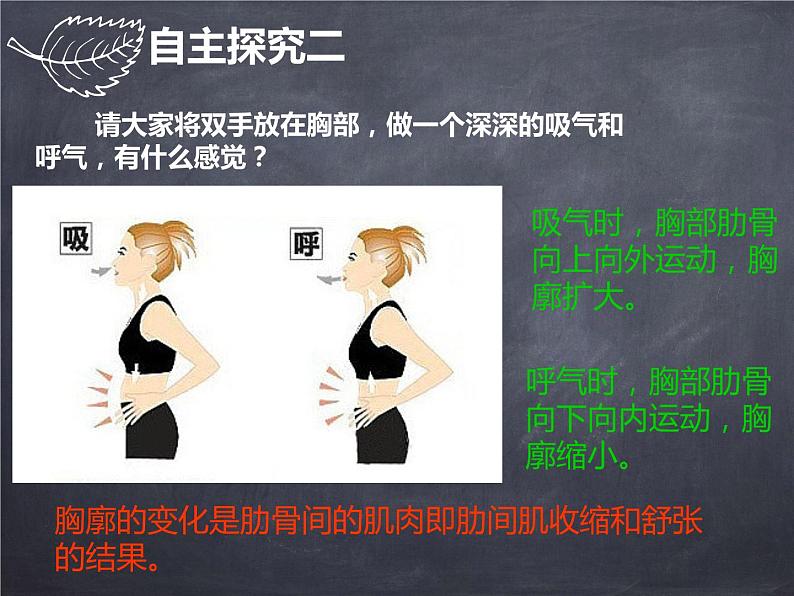 初中生物人教版七年级下册 第二节发生在肺内的气体交换 2 课件第4页