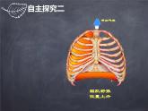 初中生物人教版七年级下册 第二节发生在肺内的气体交换 2 课件