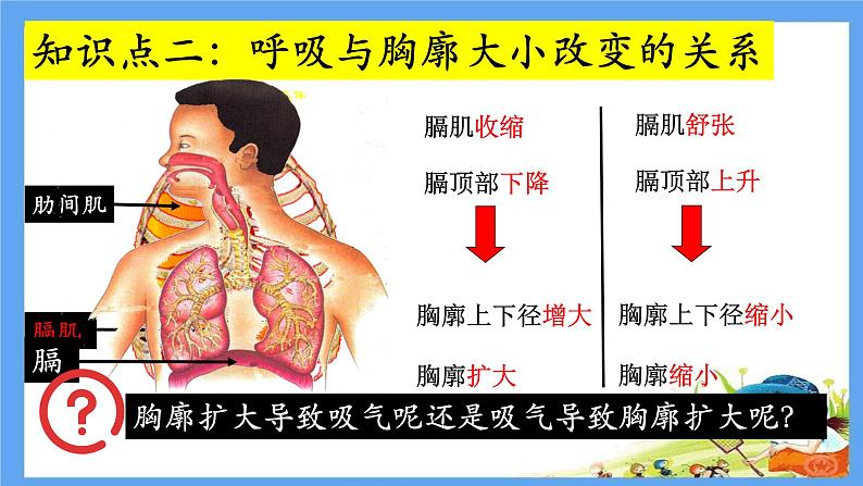 初中生物人教版七年级下册 第二节发生在肺内的气体交换 课件08