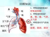 初中生物人教版七年级下册 第二节发生在肺内的气体交换 1 课件