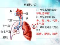 初中人教版 (新课标)第二节 发生在肺内的气体交换课前预习ppt课件