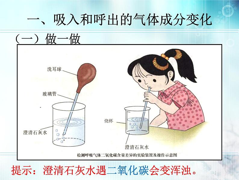 初中生物人教版七年级下册 第二节发生在肺内的气体交换 1 课件03