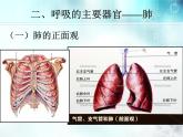 初中生物人教版七年级下册 第二节发生在肺内的气体交换 1 课件