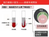 初中生物人教版七年级下册 第四节输血与血型 3 课件