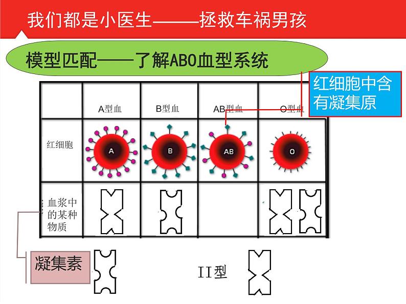 初中生物人教版七年级下册 第四节输血与血型 3 课件第6页