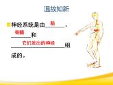 初中生物人教版七年级下册 第三节神经调节的基本方式 4 课件