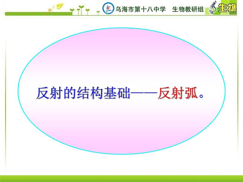 初中生物人教版七年级下册 第三节神经调节的基本方式 3 课件08