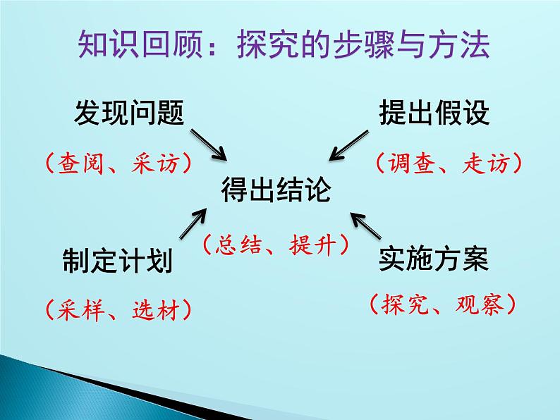 初中生物人教版七年级下册 第二节探究环境污染对生物的影响 1 课件05