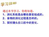 初中生物人教版七年级下册 第二节消化和吸收 2 课件