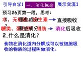 初中生物人教版七年级下册 第二节消化和吸收 2 课件