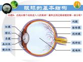 初中生物人教版七年级下册 第一节人体对外界环境的感知 5 课件