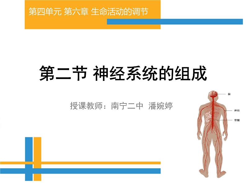 初中生物人教版七年级下册 第二节神经系统的组成 课件第1页