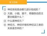 初中生物人教版七年级下册 第二节神经系统的组成 课件