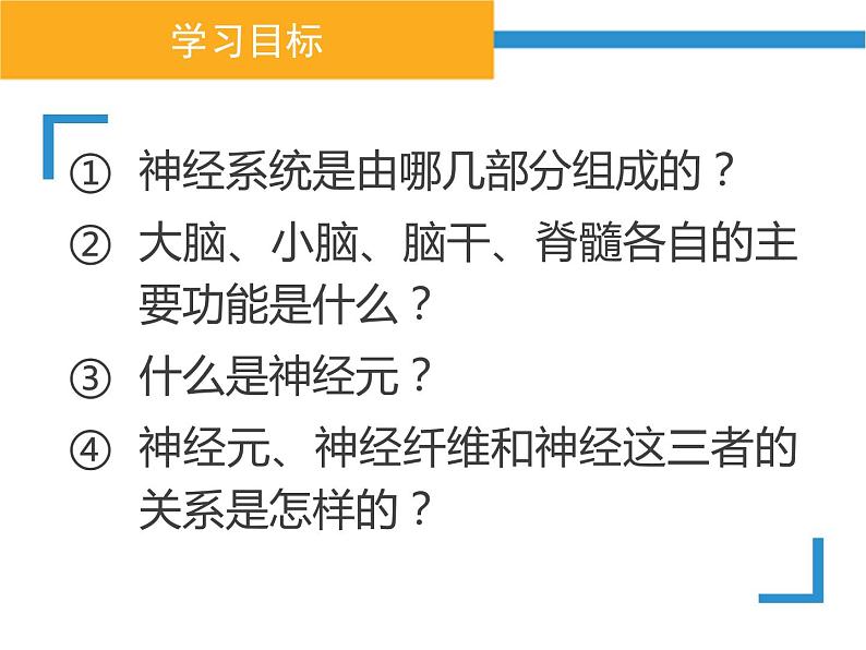 初中生物人教版七年级下册 第二节神经系统的组成 课件第3页