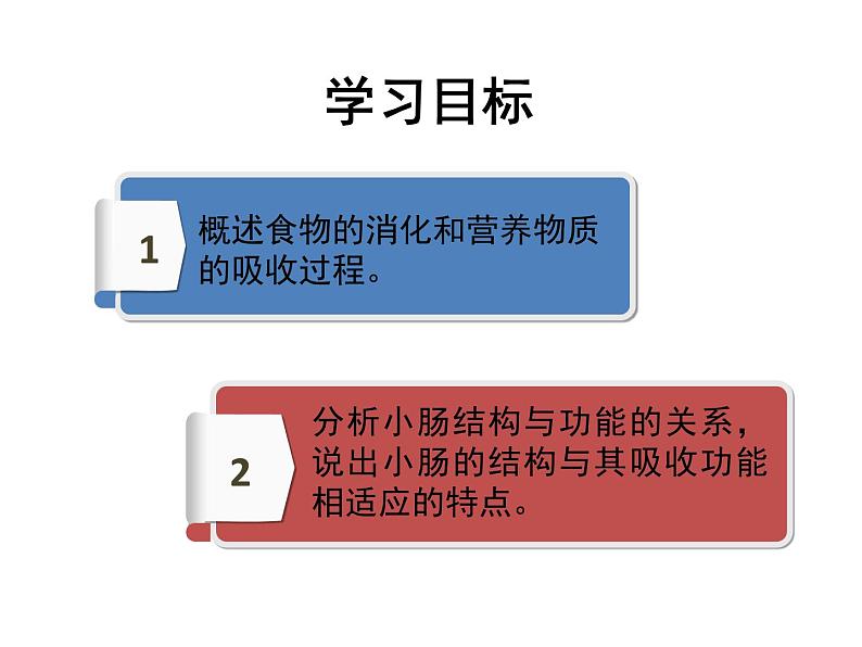 初中生物人教版七年级下册 第二节消化和吸收 1 课件04