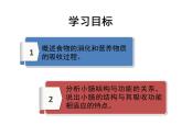 初中生物人教版七年级下册 第二节消化和吸收 1 课件