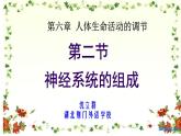 初中生物人教版七年级下册 第二节神经系统的组成 4 课件