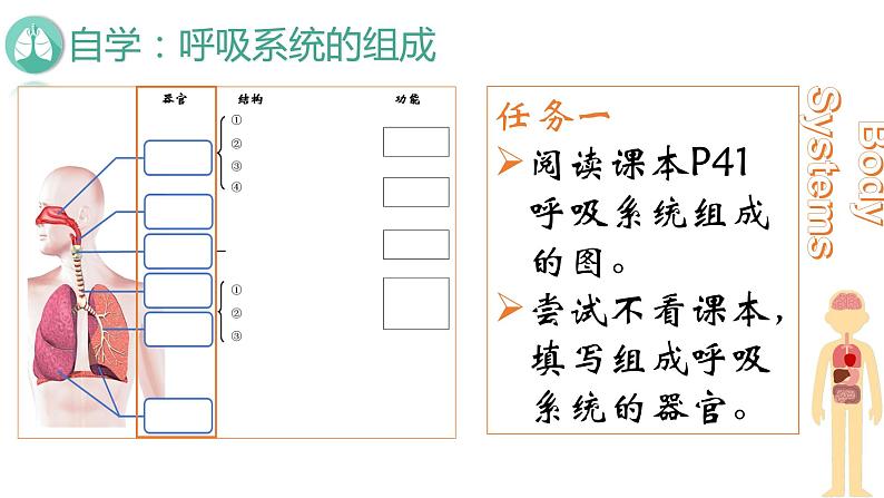 初中生物人教版七年级下册 第一节呼吸道对空气的处理 1 课件第6页