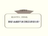 初中生物人教版七年级下册 第二节发生在肺内的气体交换 4 课件