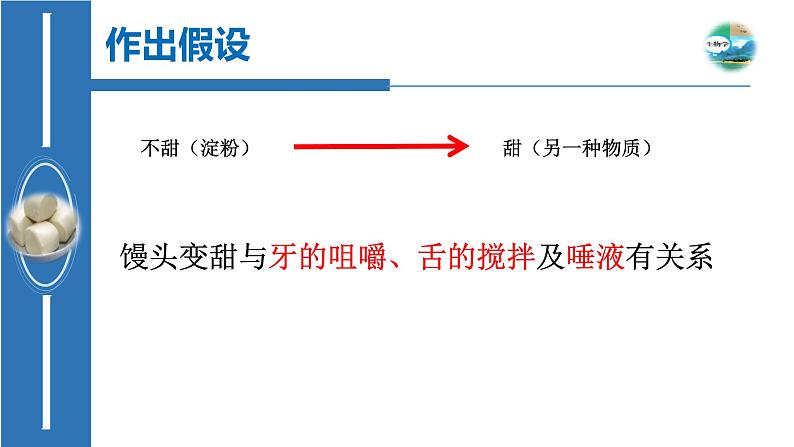 初中生物人教版七年级下册 第二节消化和吸收 课件05