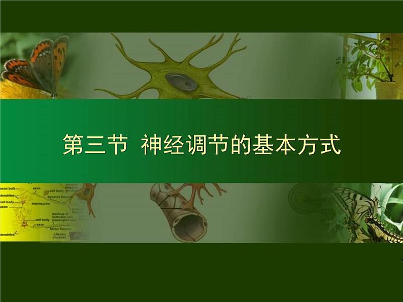 初中生物人教版七年级下册 第三节神经调节的基本方式 课件第1页