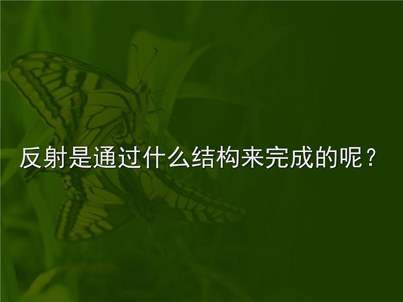 初中生物人教版七年级下册 第三节神经调节的基本方式 课件第4页