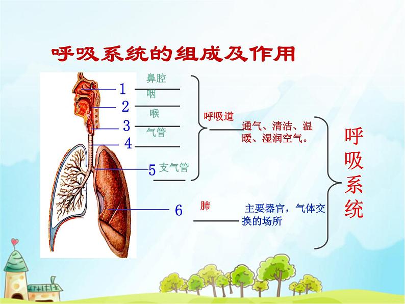 初中生物人教版七年级下册 第二节发生在肺内的气体交换 6 课件第3页