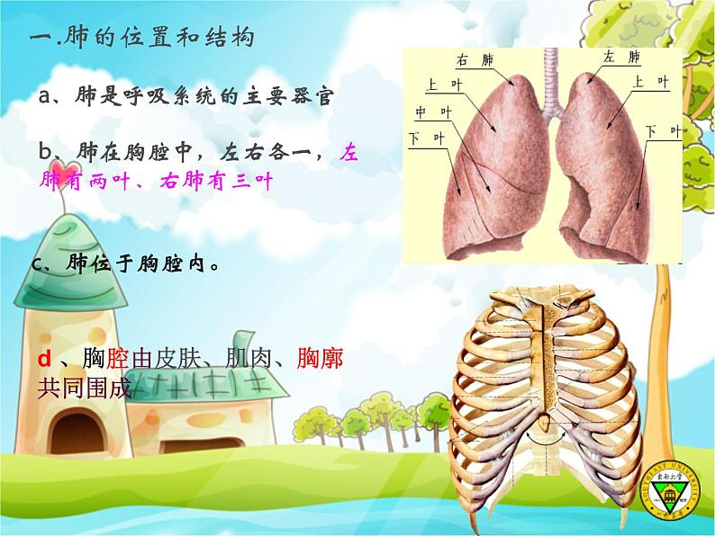 初中生物人教版七年级下册 第二节发生在肺内的气体交换 6 课件第6页