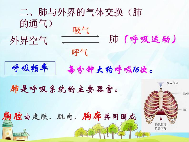 初中生物人教版七年级下册 第二节发生在肺内的气体交换 6 课件第8页