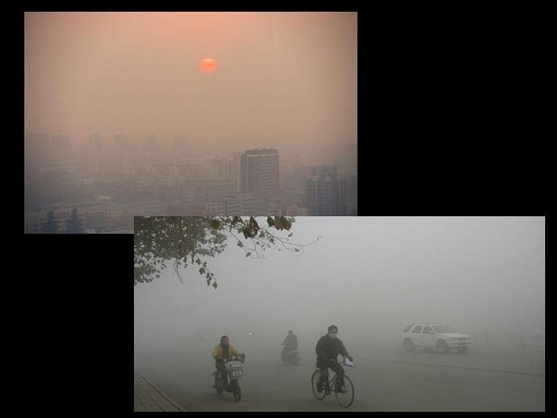 初中生物人教版七年级下册 第二节探究环境污染对生物的影响 课件第3页