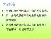 初中生物人教版七年级下册 第二节探究环境污染对生物的影响 课件