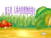 初中生物人教版七年级下册 人体内废物的排出 5 课件