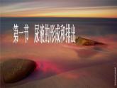 初中生物人教版七年级下册 人体内废物的排出 5 课件