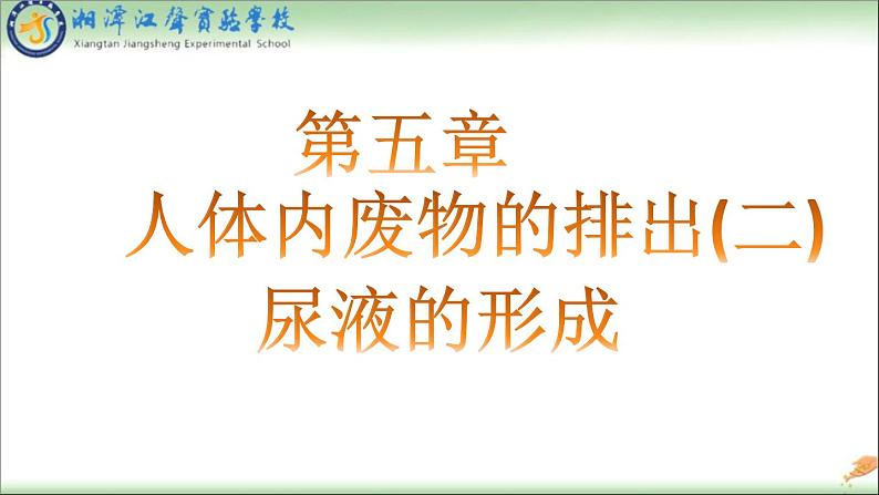 初中生物人教版七年级下册 人体内废物的排出 1 课件01