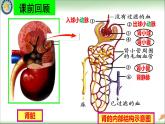初中生物人教版七年级下册 人体内废物的排出 1 课件