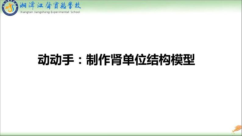 初中生物人教版七年级下册 人体内废物的排出 1 课件03