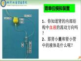 初中生物人教版七年级下册 人体内废物的排出 1 课件