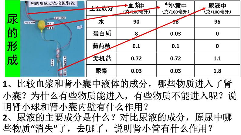 初中生物人教版七年级下册 人体内废物的排出 1 课件06