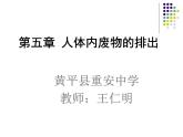 初中生物人教版七年级下册 人体内废物的排出 3 课件