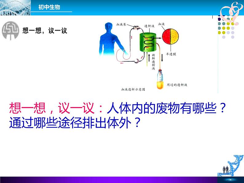 初中生物人教版七年级下册 人体内废物的排出 3 课件第4页