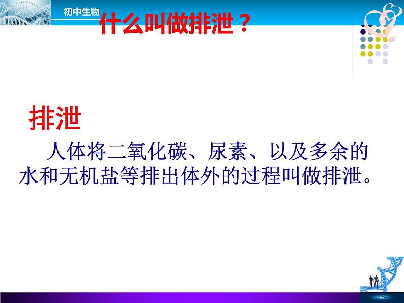 初中生物人教版七年级下册 人体内废物的排出 3 课件第7页