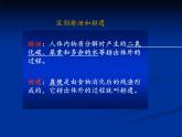 初中生物人教版七年级下册 人体内废物的排出 4 课件