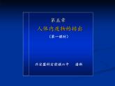 初中生物人教版七年级下册 人体内废物的排出 4 课件