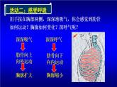 初中生物人教版七年级下册 第二节发生在肺内的气体交换 8 课件