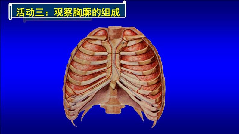 初中生物人教版七年级下册 第二节发生在肺内的气体交换 8 课件第6页