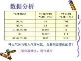 初中生物人教版七年级下册 第二节发生在肺内的气体交换 10 课件