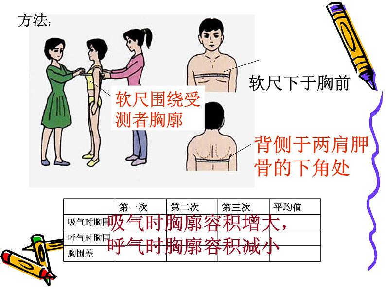 初中生物人教版七年级下册 第二节发生在肺内的气体交换 10 课件第7页